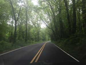 IMG_5238